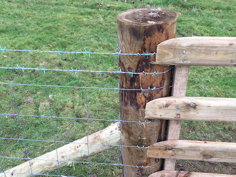 Barbed wire fencing